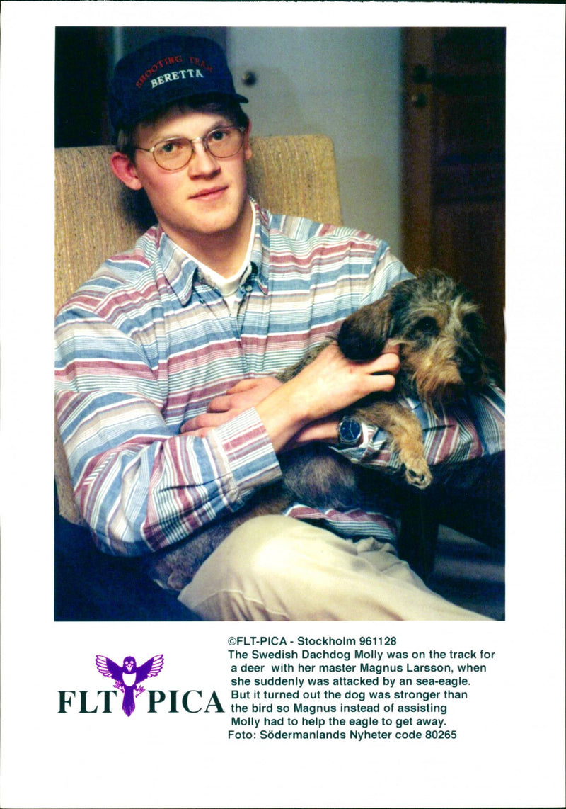 Dogs. - Vintage Photograph