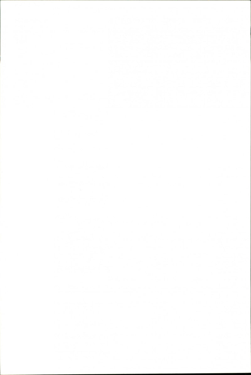 Dogs. - Vintage Photograph