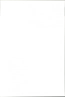 Dogs. - Vintage Photograph