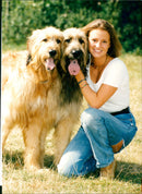 Animal Dogs - Vintage Photograph