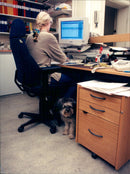 Animal Dogs - Vintage Photograph