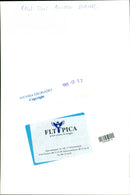 Animal Dogs - Vintage Photograph