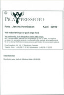 Animal Dogs - Vintage Photograph