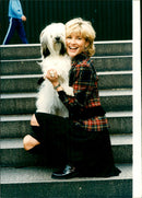 Animal Dogs - Vintage Photograph