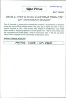 Animal Dogs - Vintage Photograph