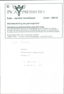 Animal Dogs - Vintage Photograph