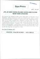 Animal Dogs - Vintage Photograph