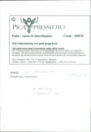 Animal Dogs - Vintage Photograph