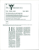 Animal Dogs - Vintage Photograph