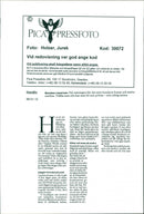 Animal Dogs - Vintage Photograph