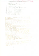 Animal Dogs - Vintage Photograph