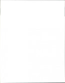 Animals, The Dachshund Tuttan and her 11 puppies. - Vintage Photograph