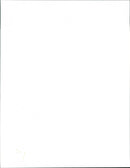 Animals, Newfounlander Tiffy and her 15 puppies. - Vintage Photograph