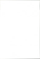 Animals. 8 Weeks Old Collie - Vintage Photograph