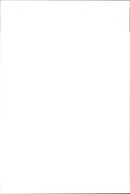 Animals, 8 Weeks Old Collie - Vintage Photograph