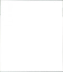 Animals, The Dachshund Tuttan and her 11 puppies. - Vintage Photograph