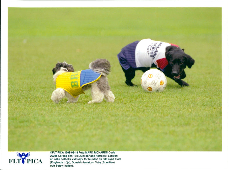 Harrods in London - Vintage Photograph