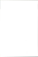 Misty, a German setter and 19 puppies at Pukekohe - Vintage Photograph