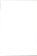 Giraffe. - Vintage Photograph