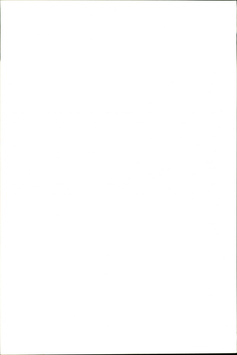 Giraffe. - Vintage Photograph