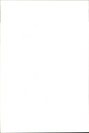 Giraffe. - Vintage Photograph