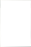 Giraffe. - Vintage Photograph