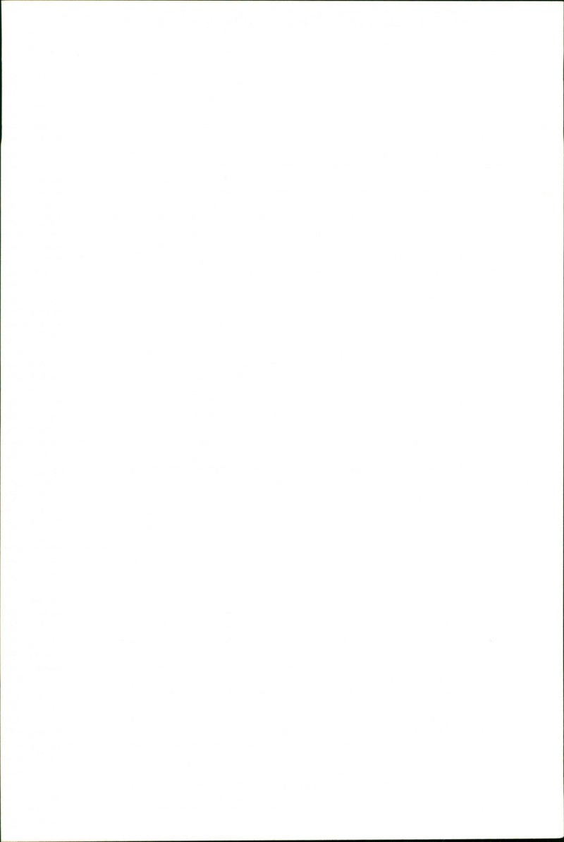 Giraffe. - Vintage Photograph