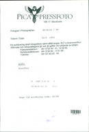 Giraffe. - Vintage Photograph