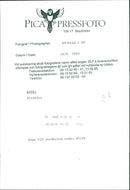 Giraffe. - Vintage Photograph