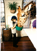 Giraffe. - Vintage Photograph