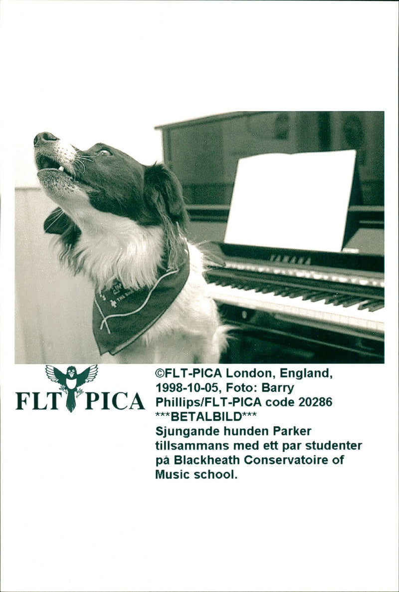 Singing the dog Parker - Vintage Photograph