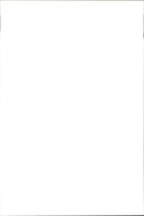 The Dog Fashion - Vintage Photograph