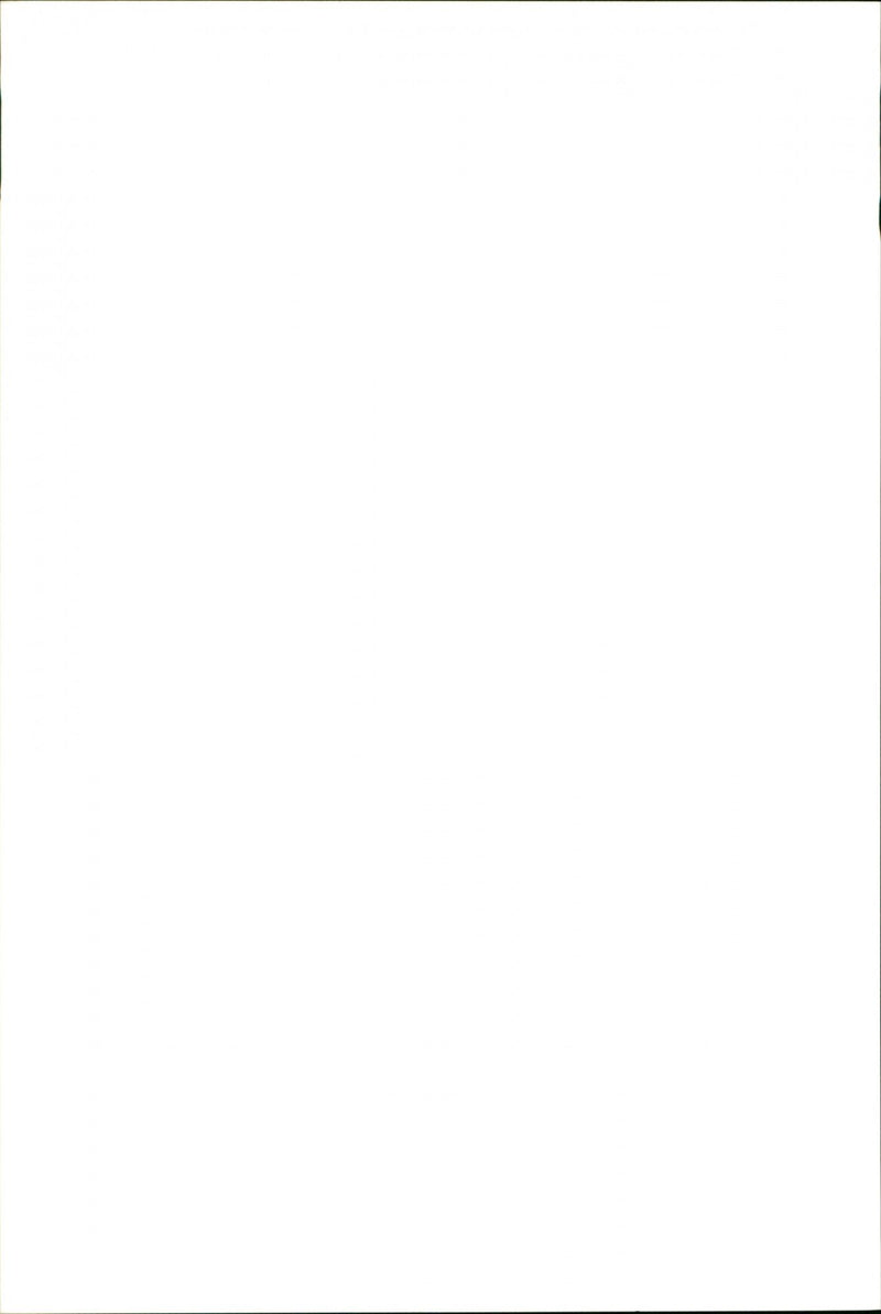 The Dog Fashion - Vintage Photograph