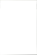 Animal Dogs Miscellaneous - Vintage Photograph