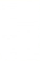 Animal Dogs Miscellaneous - Vintage Photograph