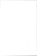 Animal Dogs Miscellaneous - Vintage Photograph