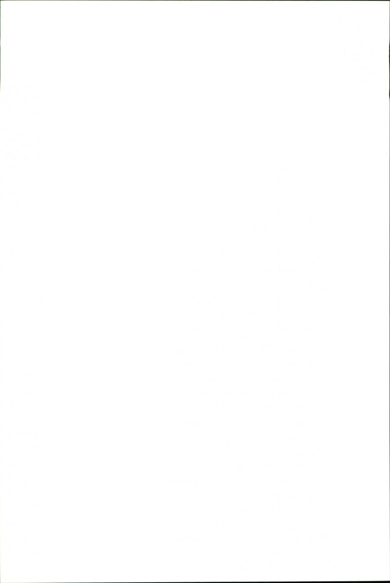 Animal Dogs Miscellaneous - Vintage Photograph