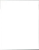 Animal Dogs Miscellaneous - Vintage Photograph