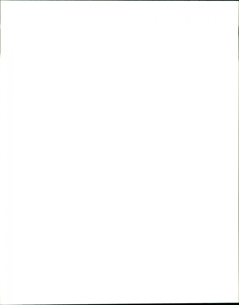 Animal Dogs Miscellaneous - Vintage Photograph