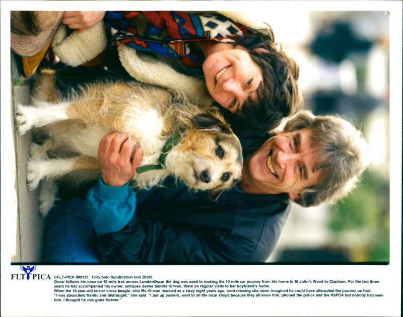 Animal Dogs Miscellaneous - Vintage Photograph