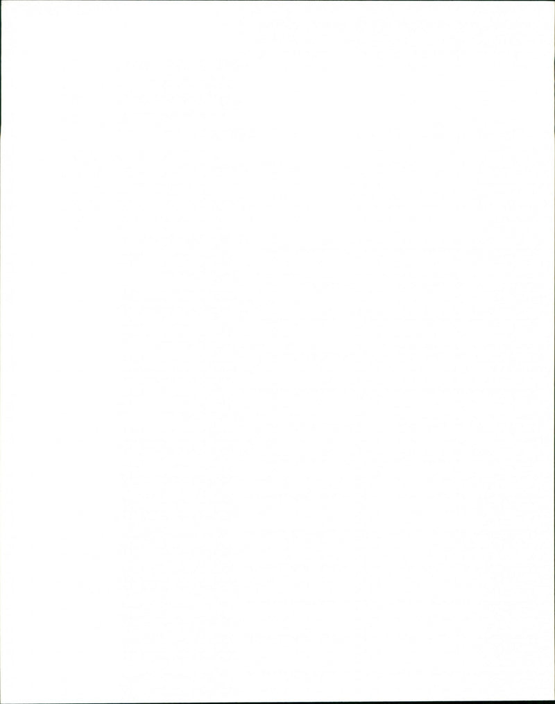 Dogs - Vintage Photograph