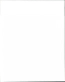 Dogs - Vintage Photograph