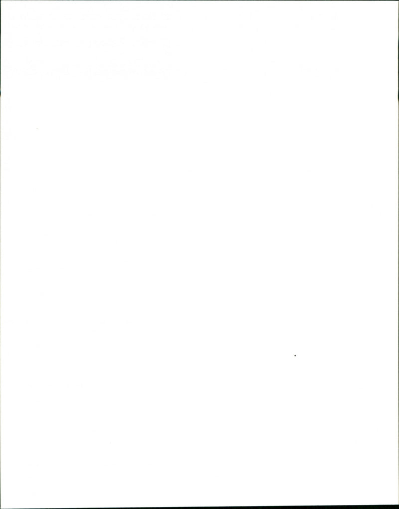 Dogs - Vintage Photograph