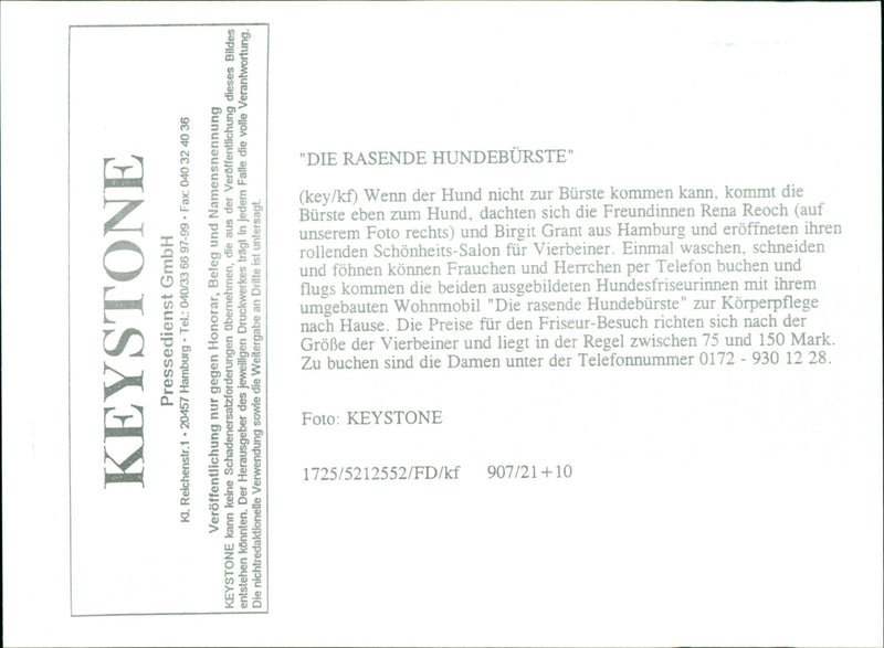 Dogs - Vintage Photograph