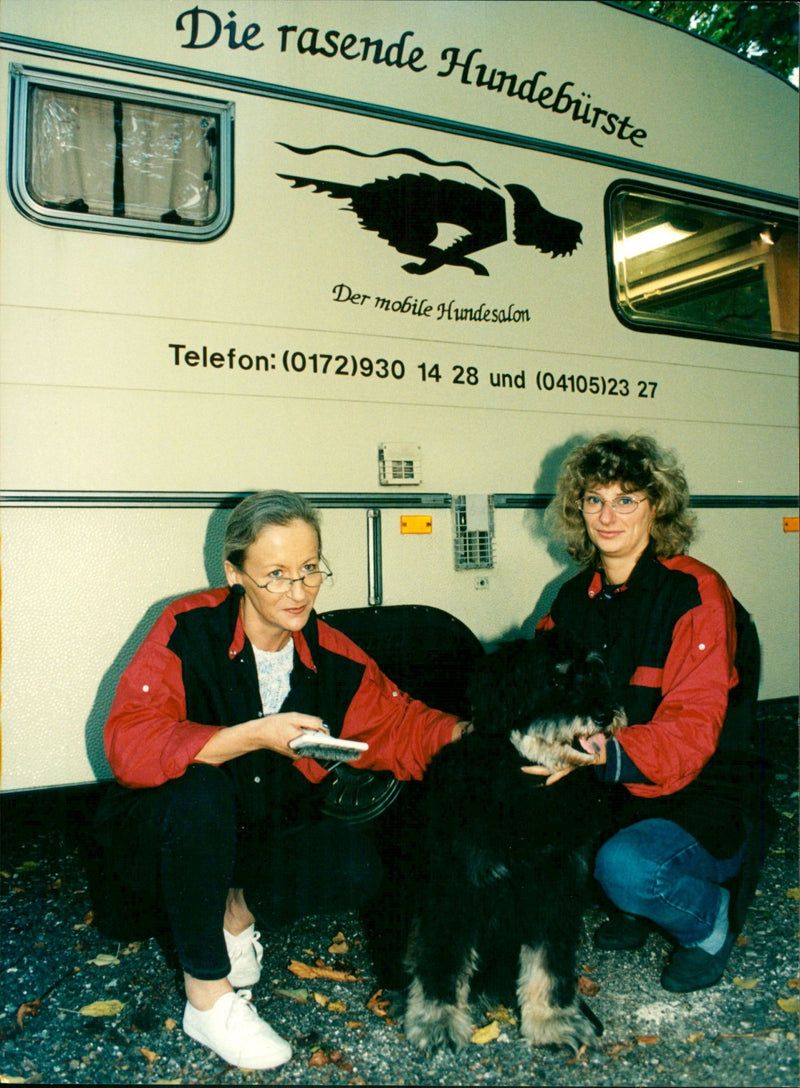 Dogs - Vintage Photograph