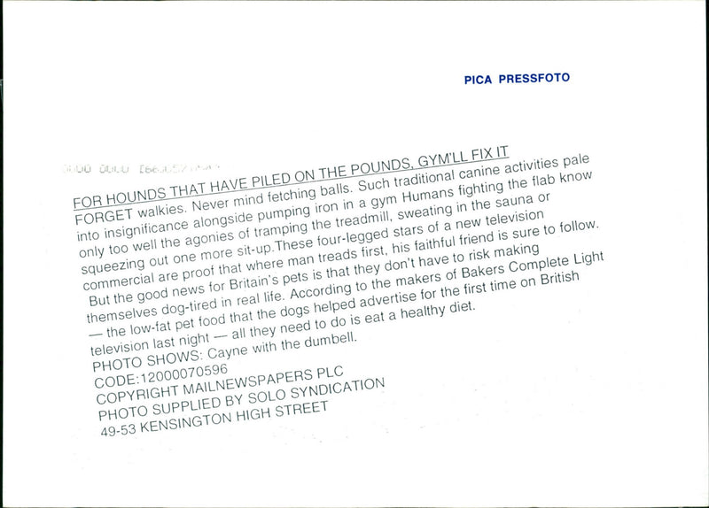 Dogs, Cayne with te dumbell. - Vintage Photograph