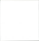 Dogs - Vintage Photograph