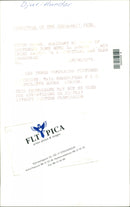 Dogs - Vintage Photograph