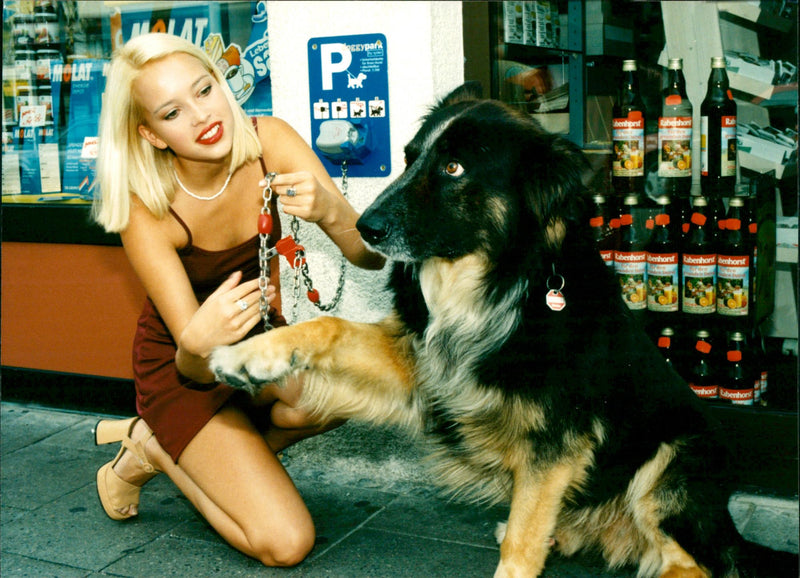 Dogs - Vintage Photograph