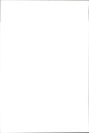 Animal: Sheep - Vintage Photograph